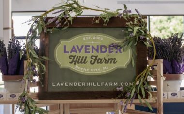 This Season at Lavender Hill Farm