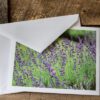 Greeting Card Variety Pack - Image 4