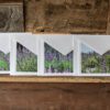 Greeting Card Variety Pack - Image 2