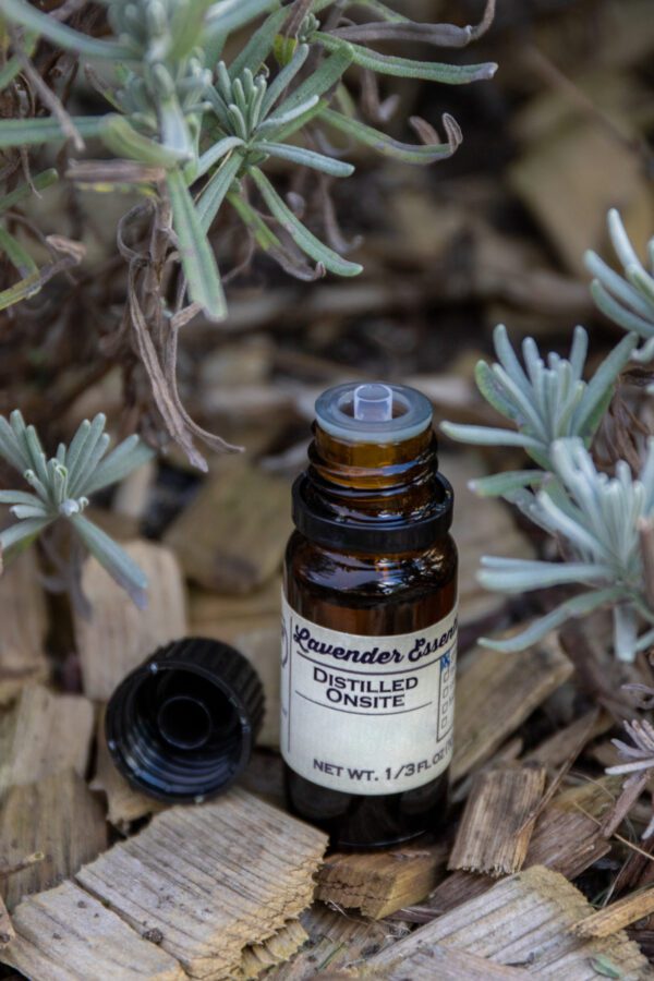 Hydrosol & Grosso Oil Set - Image 4