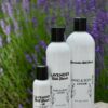 Hand & Body Lotion - Image 2