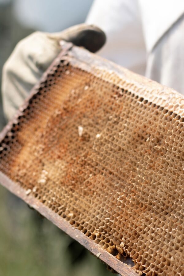 Lavender Hill Farm Honey - Image 4