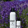Lavender Shampoo - Image 2