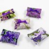 Purse Sachet