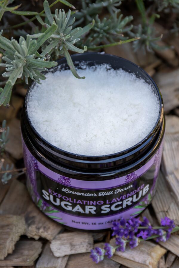 Sugar Scrub - Image 3