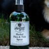 Herbal Flea & Tick Spray - Image 2