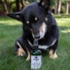 Herbal Flea & Tick Spray - Image 3
