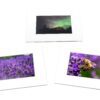 Matted Photo Prints