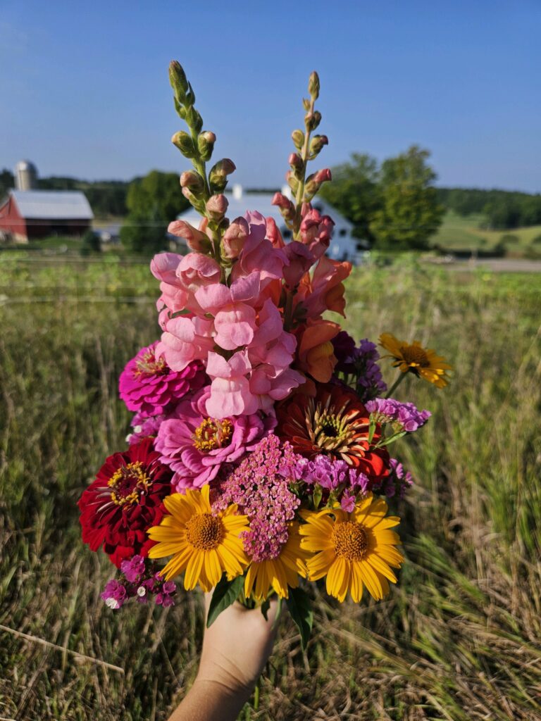 Cut Flower Bouquet Photo by Kaitlin 8-26-24