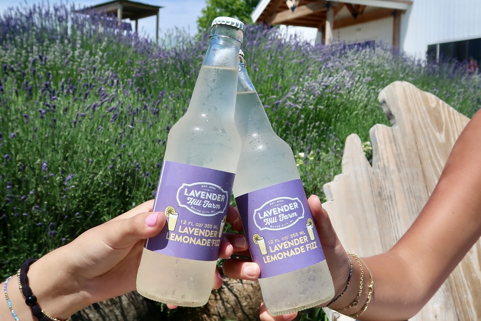 Lavender Lemonade Fizz - Photo by Lauren Tyszka 6-19-24 IMG_0363