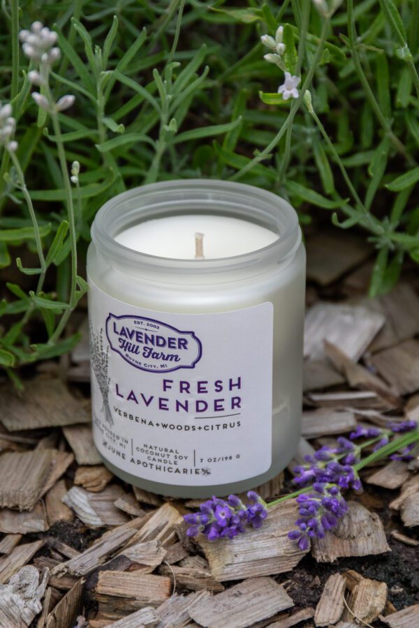 Fresh Lavender Soy Candles - Image 2