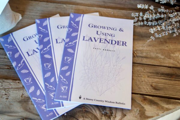 "Growing & Using Lavender" Booklet - Image 2