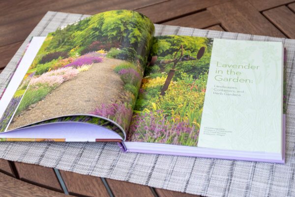 The Lavender Lover's Handbook - Image 3