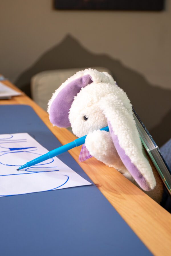 Warming Stuffed Bunny - Image 5