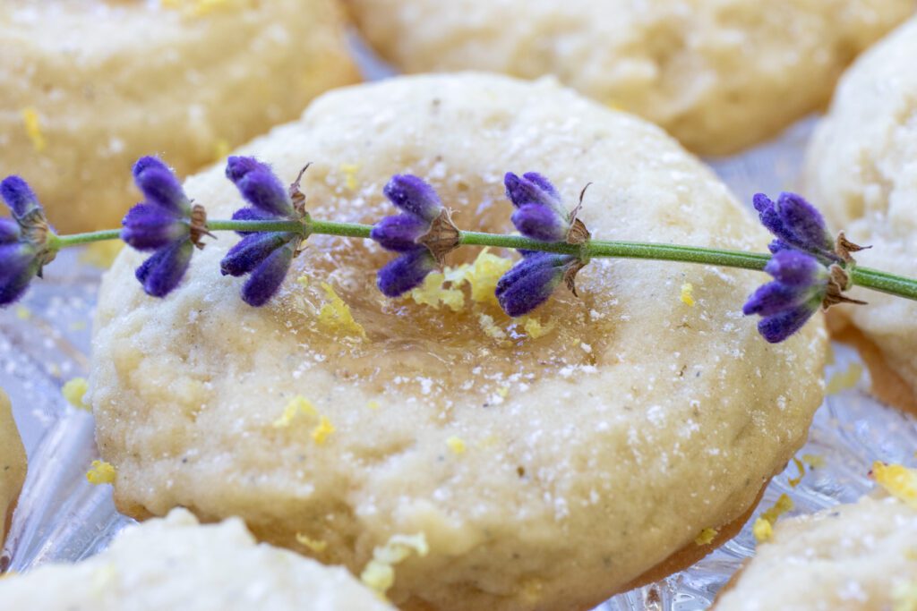 Lavender Thumbprint Cookies