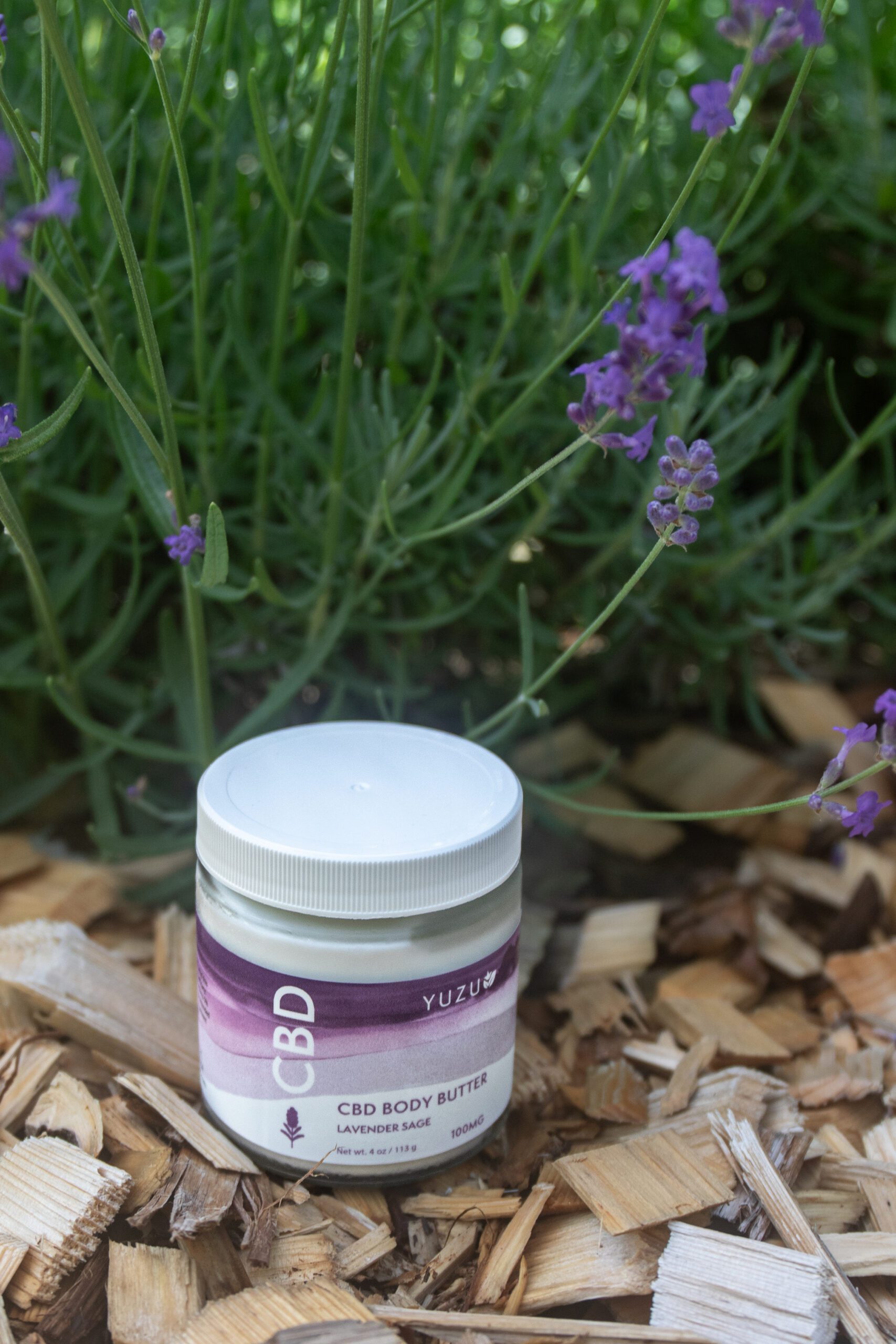 CBD Body Butter
