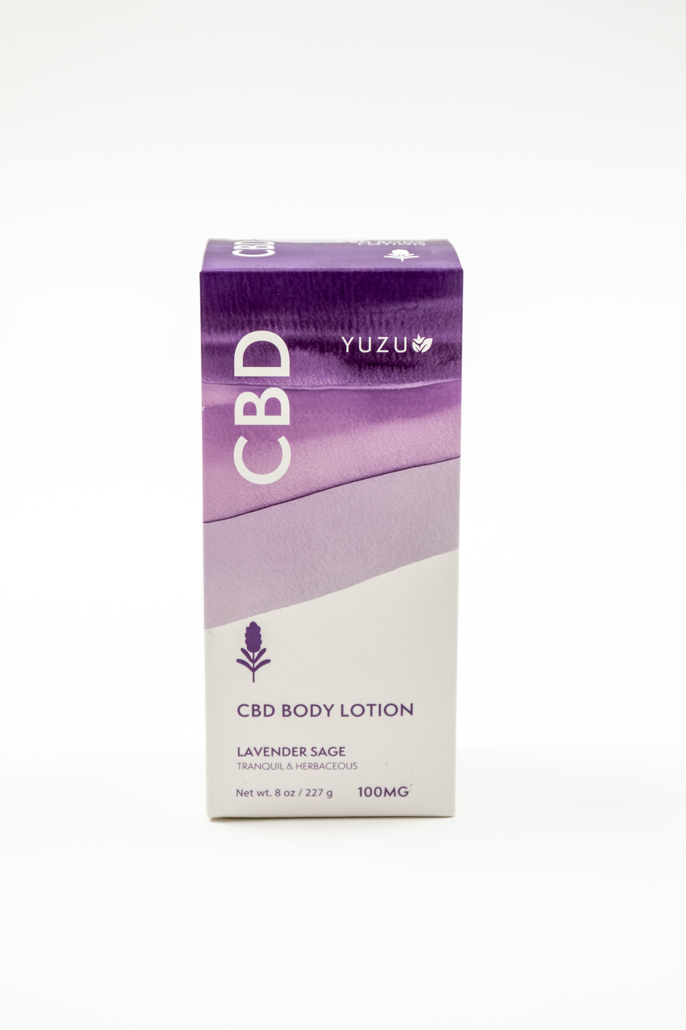 CBD Body Lotion