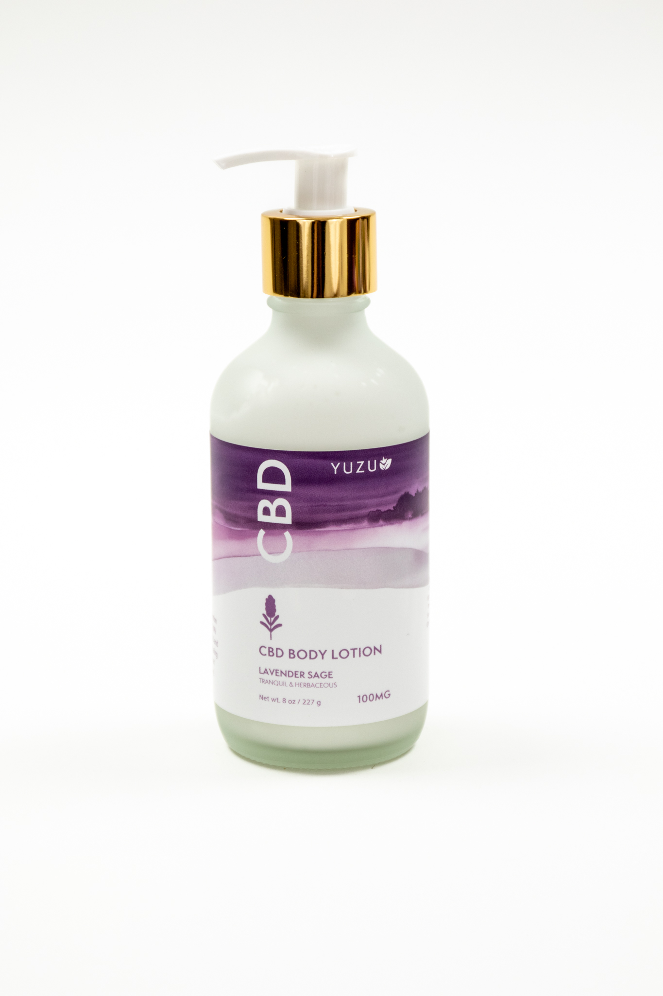 CBD Body Lotion