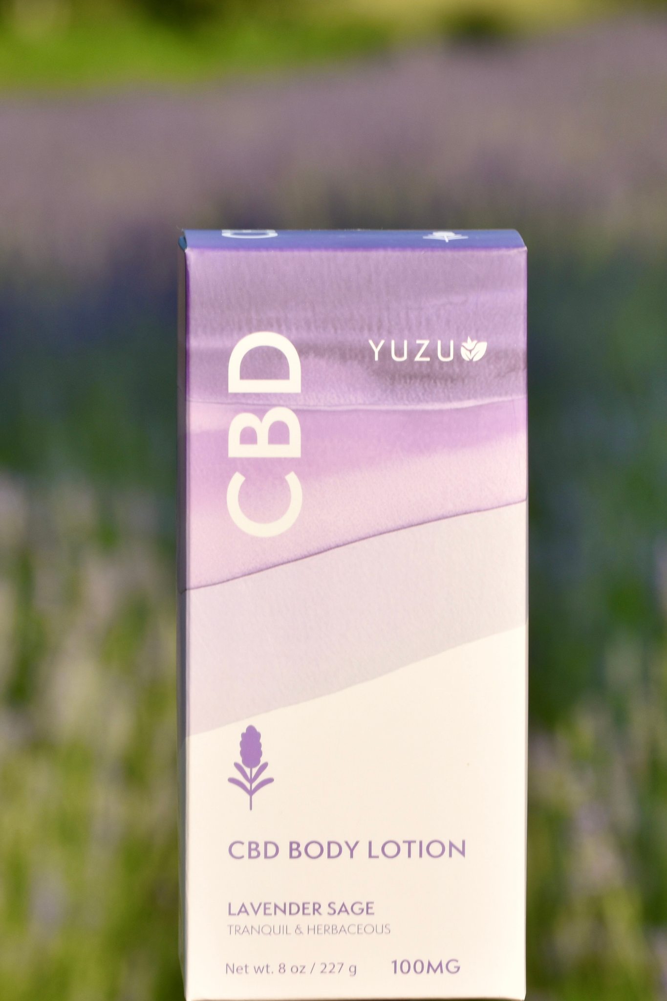 CBD Body Lotion - Image 3