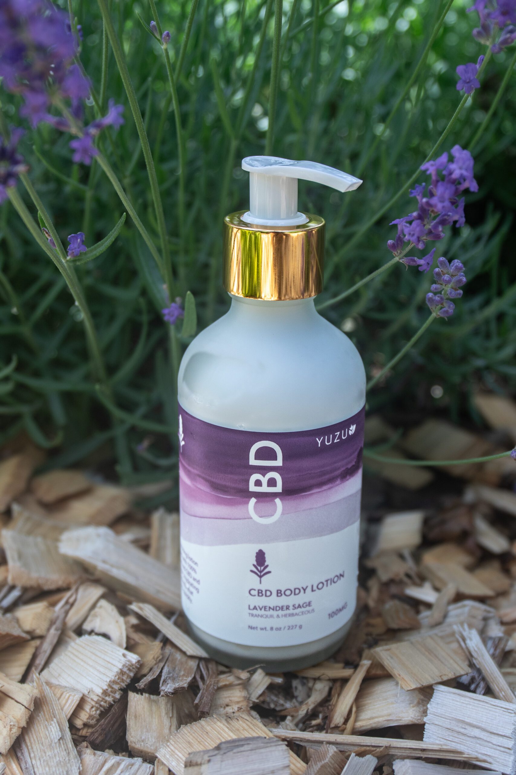 CBD Body Lotion - Image 3