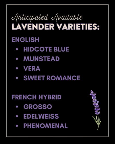 Annual Plant Sale 2024