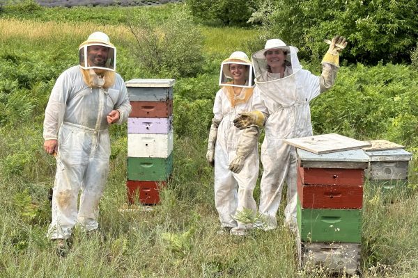 Beehives 7-17-23 IMG_4811