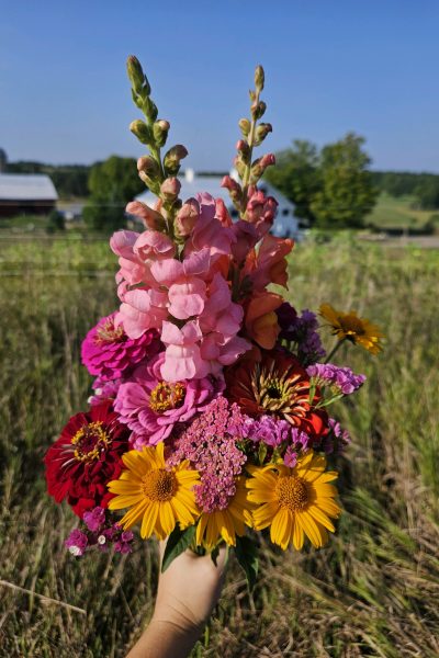 Cut Flower Bouquet Photo by Kaitlin 8-26-24