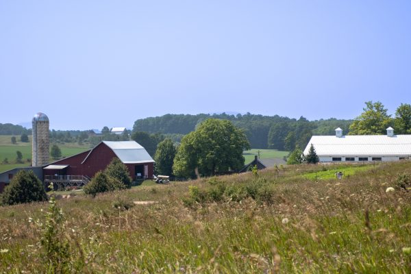 Farm View AMoser 8-3-24 4V6A7597