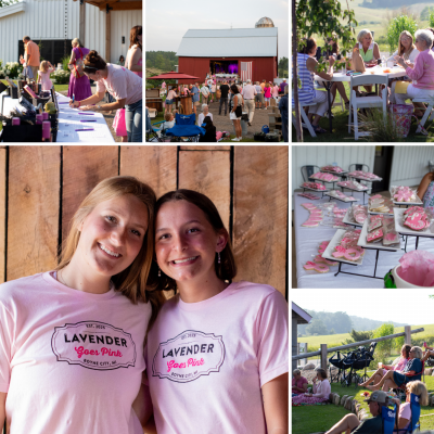 LGP About the Evening