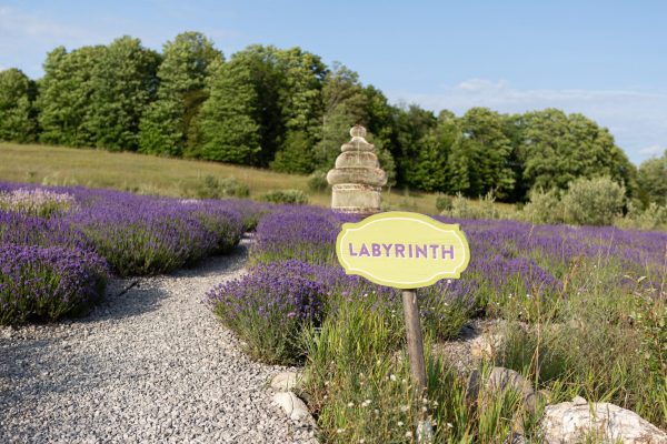 Labyrinth with Birdcage_Nestell_07-23-8