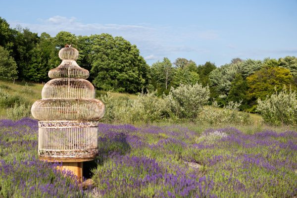 Labyrinth with Birdcage_Nestell_07-23-9